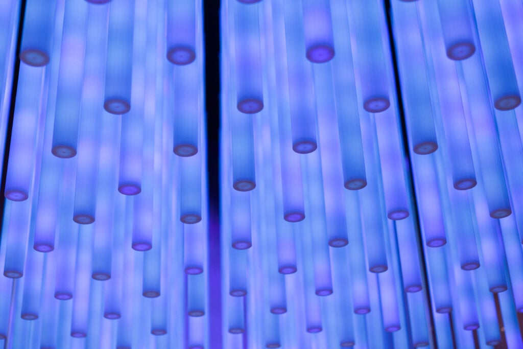 LED Lighting
